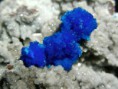 /album/fotogalerij/cavansite-poona-2a-jpg1/